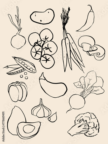 Ilustración de vegetales individuales. Verduras dibujadas a mano. Ilustración en líneas de vegetales. Icono de verduras. Clipart