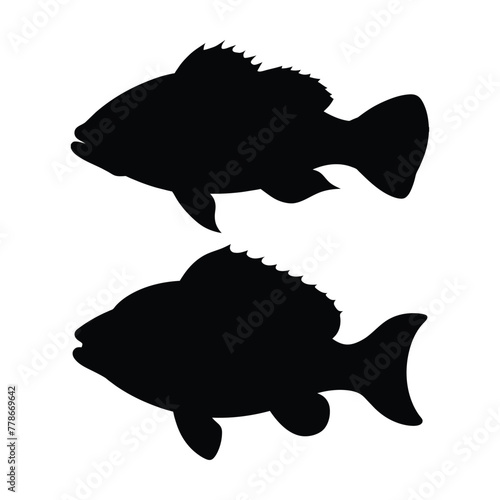 silhouette of grouper fish on white