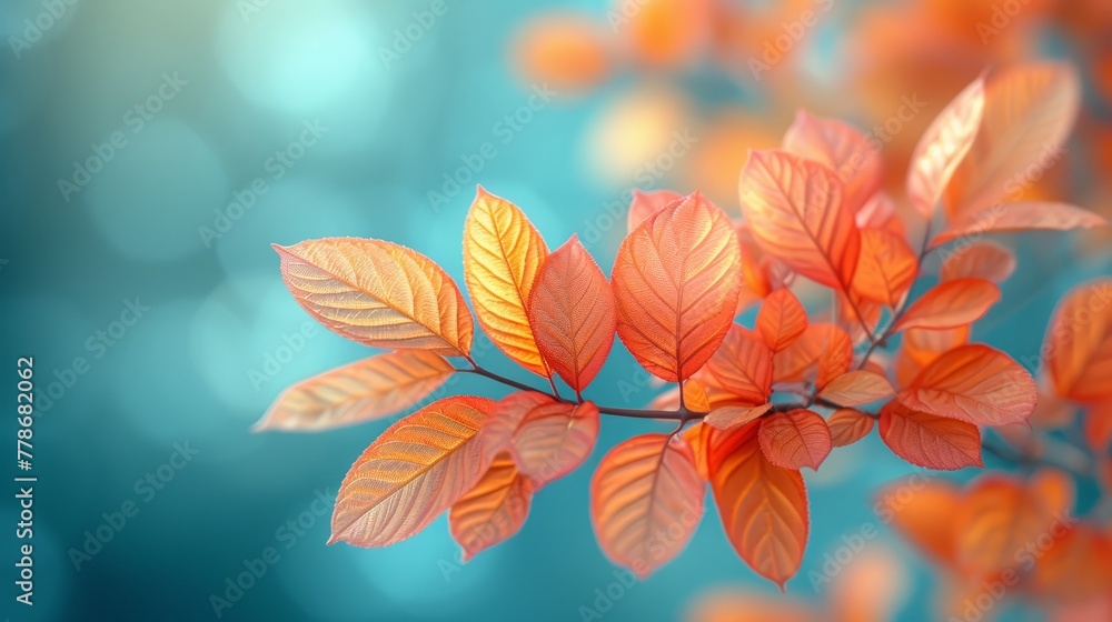 a close up of a branch with leaves in the foreground and a blurry background in the foreground. a close up of a branch with leaves in the foreground and a blurry background in the foreground.