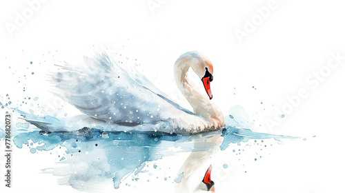 Fototapeta Naklejka Na Ścianę i Meble -  Swan in watercolour Isolated on white background.