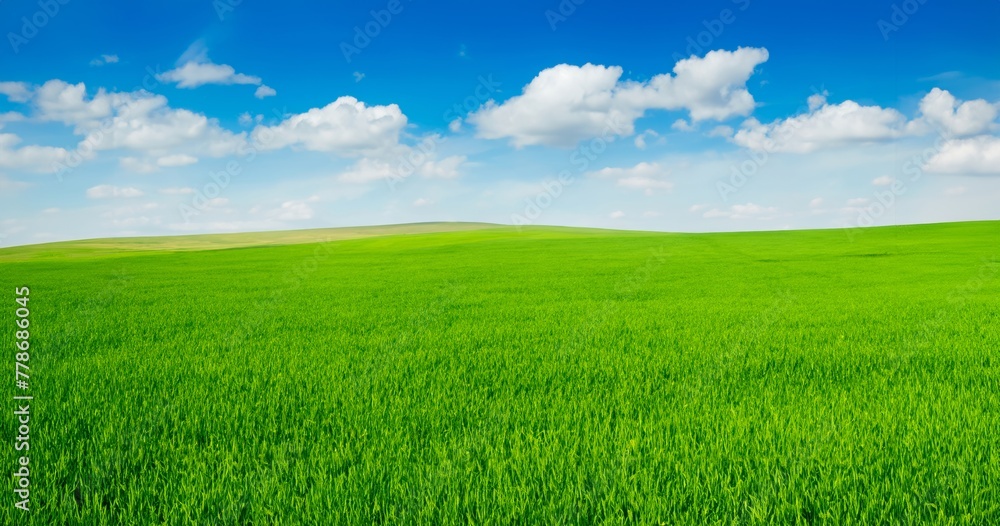 green field with blue sky