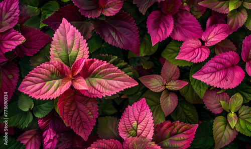 A vibrant plant with leaves in shades of pink  Generative AI 