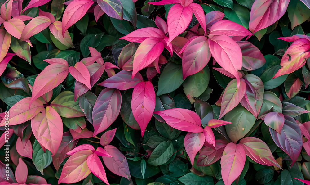 A vibrant plant with leaves in shades of pink, Generative AI 
