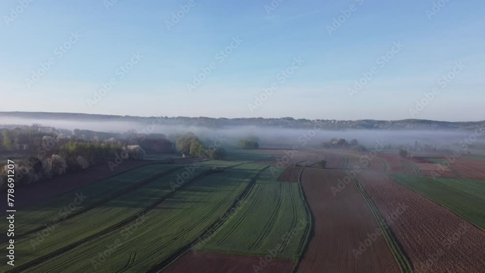 Poranna mgła unosząca się nad polami uprawnymi i pobliskim lasem i drzewami Poranna mgła unosząca się nad polami uprawnymi i pobliskim lasem i drzewami