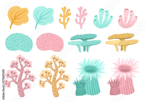 Corals drawing