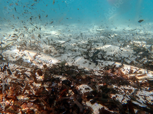 Vista subacquea di una spiaggia sabbiosa di San Lorenzo in Sicilia 324 photo