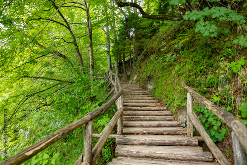 Beautiful landscape in the Plitvice Lakes National Park in Croatia. Footpath for hiking.