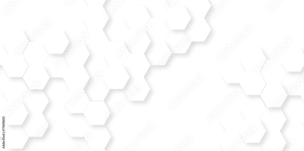 Modern abstract vector polygonal pattern. Futuristic abstract honeycomb technology white background. Luxury white hexagon pattern. Abstract background with hexagon. Modern abstract vector polygonal pattern. Futuristic abstract honeycomb technology white background. Luxury white hexagon pattern. Abstract background with hexagon.