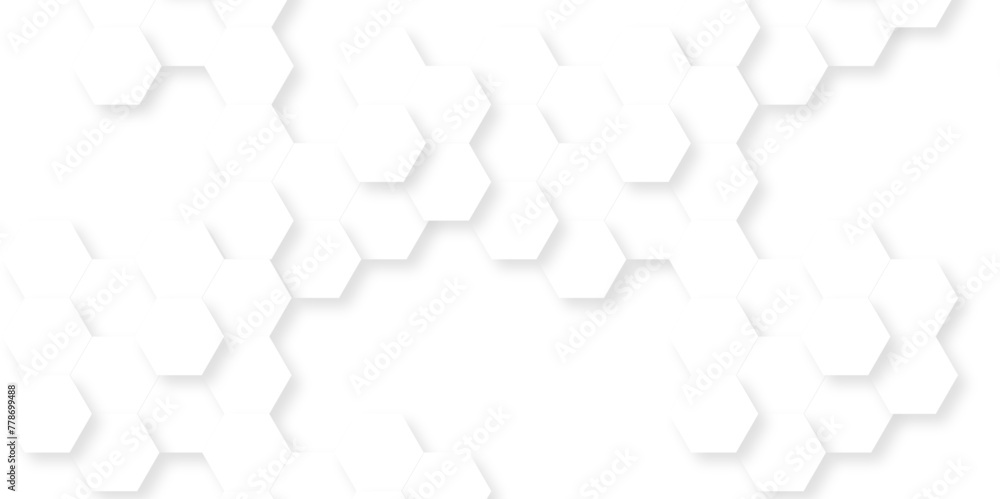 Modern abstract vector polygonal pattern. Futuristic abstract honeycomb technology white background. Luxury white hexagon pattern. Abstract background with hexagon. Modern abstract vector polygonal pattern. Futuristic abstract honeycomb technology white background. Luxury white hexagon pattern. Abstract background with hexagon.
