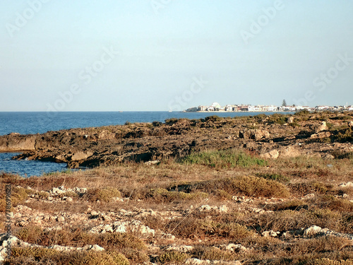 Spiaggia di San Lorenzo in Sicilia 456