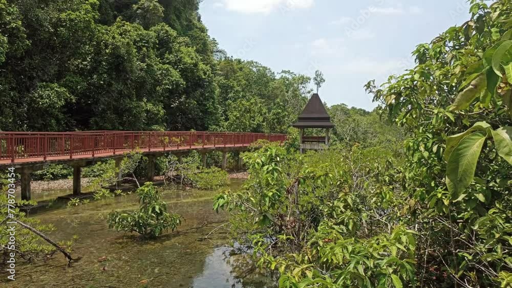 gazebo pavilion walkway pathway in mangrove tree in tropical forest in Krabi, Thailand gazebo pavilion walkway pathway in mangrove tree in tropical forest in Krabi, Thailand
