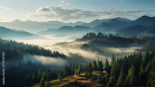 Mountain taiga, a wild place in Siberia. Coniferous forest, morning fog, panoramic view.