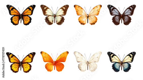 Butterfly Butterflies, many angles and view frontal side head shot isolated on transparent background © Creative Canvas