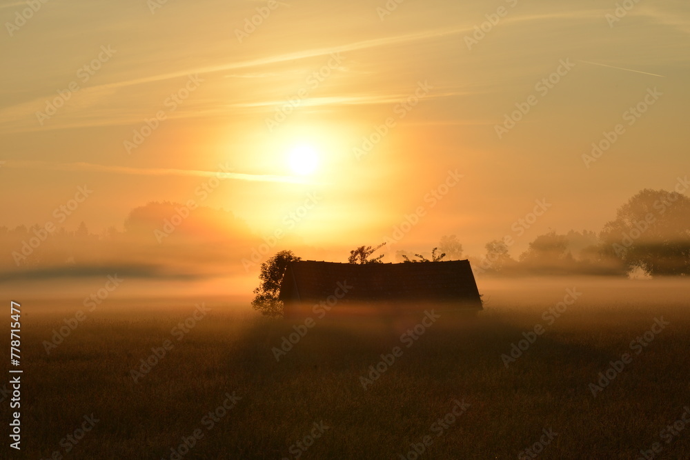 Fototapeta premium Landschaft, Morgenstimmung, Landschaftsschutzgebiet, Freisinger Moos
