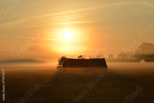 Landschaft,  Morgenstimmung, Landschaftsschutzgebiet,  Freisinger Moos photo