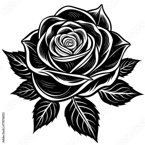   Flower silhouette  vector illustration.
