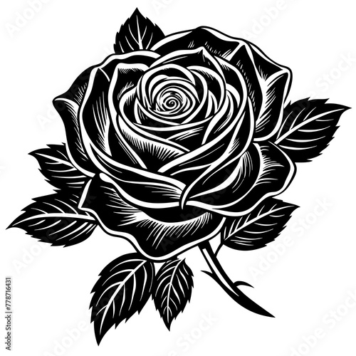    Flower silhouette vector illustration.

