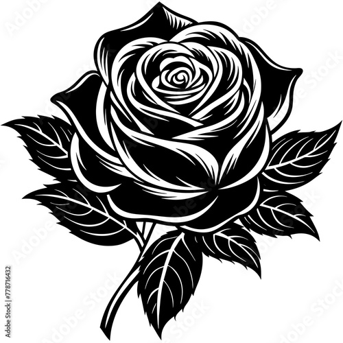    Flower silhouette vector illustration.
