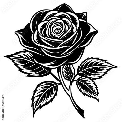    Flower silhouette vector illustration.
