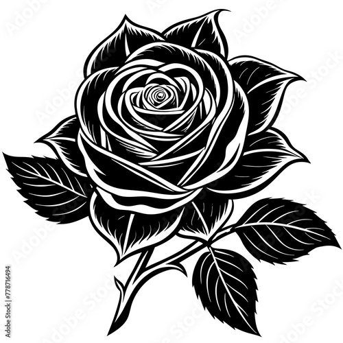    Flower silhouette vector illustration.
