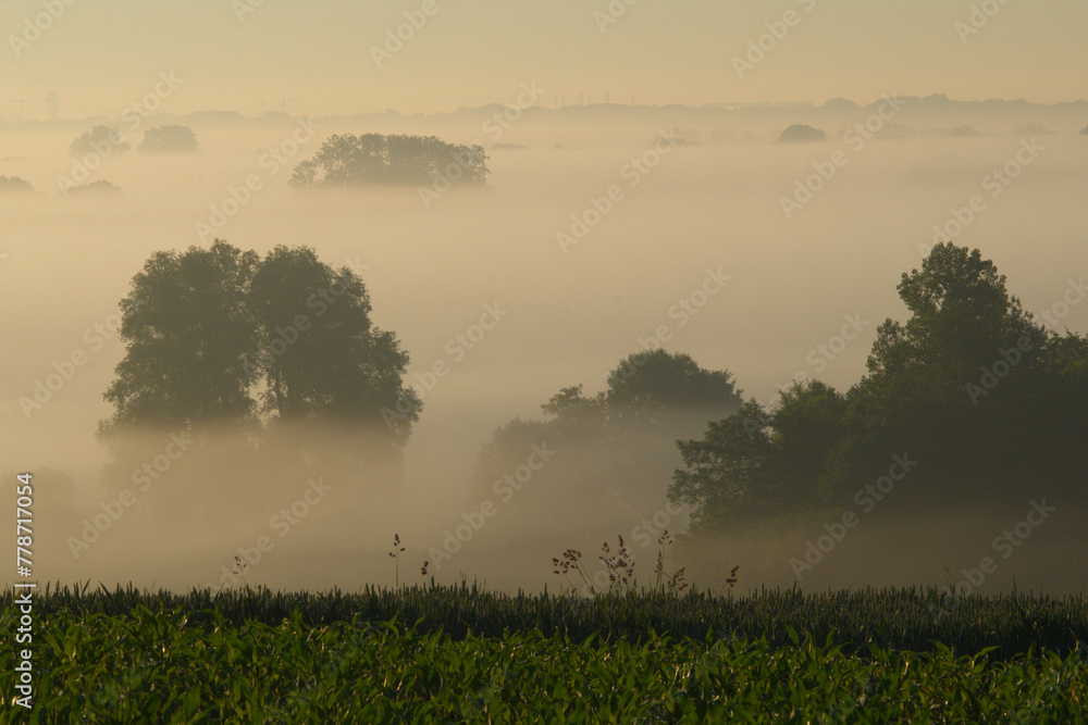 Fototapeta premium Landschaft, Morgenstimmung