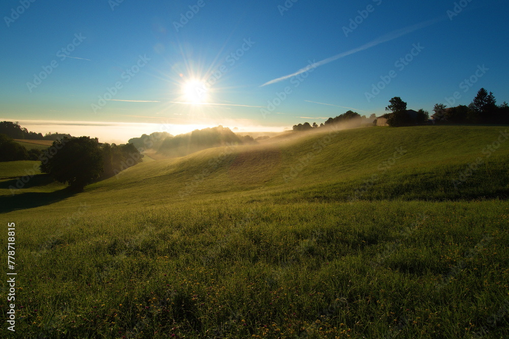 Obraz premium Landschaft, Morgenstimmung