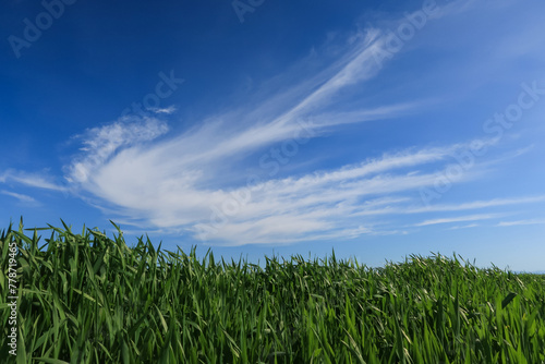 Po Valley landscape vision field sky grass wheat cloud