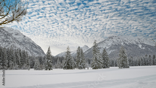 Tief verschneite Alpenlandschaft,  Ammergebirge photo