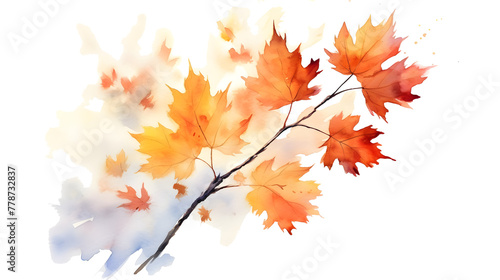 twig with autumn leaves in watercolor painting desgin isolated against transparent background