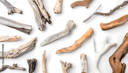 Various driftwood on white background. Generative ai design concept art.