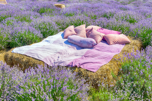 Bed from straw on lavender field