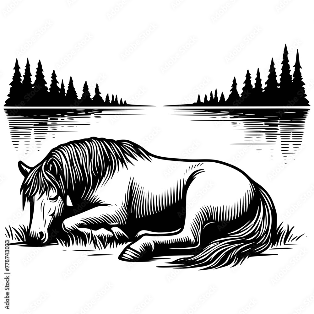 Horse Lake Scene Water, Horse Lake Svg clipart, Horses Svg, Wild Horse ...