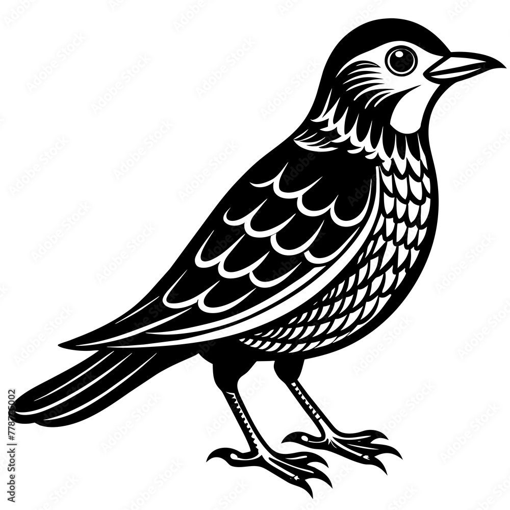 Fototapeta premium Bird vector illustration.