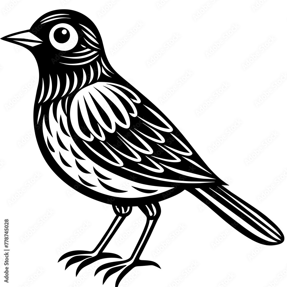 Bird vector illustration.
Bird vector illustration.