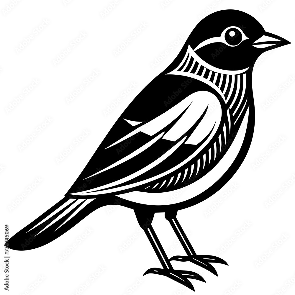 Fototapeta premium Bird vector illustration. 