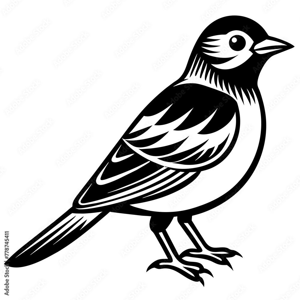 Bird silhouette vector illustration.
Bird silhouette vector illustration.