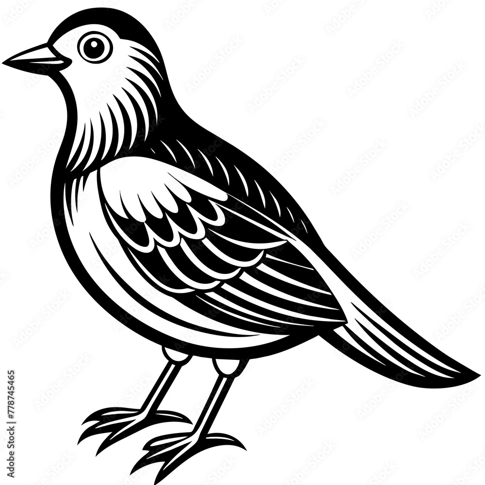 Fototapeta premium Bird silhouette vector illustration. 