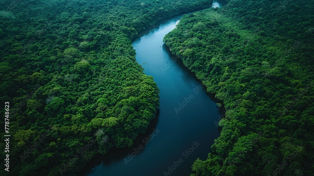 Aerial photo of meandering river in dense forest. Natural beauty. Aerial photo of meandering river in dense forest. Natural beauty.