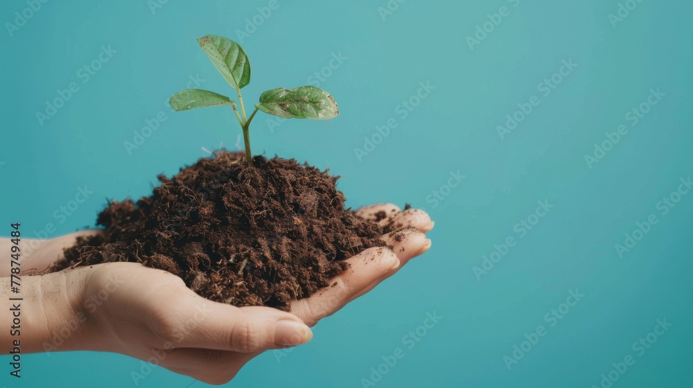Hand holding a pile of earth with a plant blur background copy space Hand holding a pile of earth with a plant blur background copy space