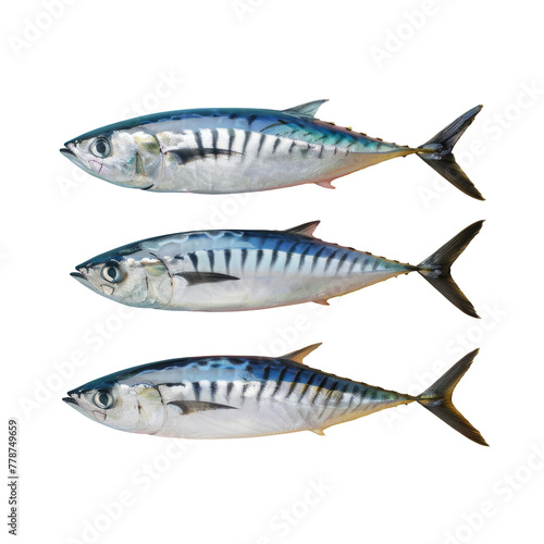Three fish swimming in water with Transparent Background