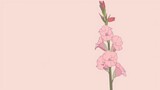   Pink flower on pink background with two pink walls in different positions