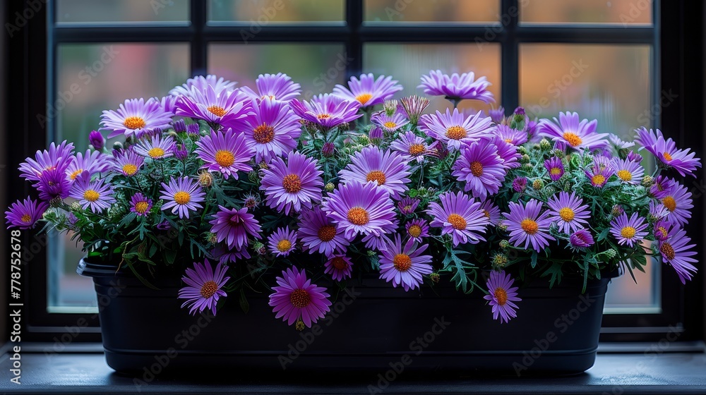 A zoomed-in shot of a windowsill featuring a planter with lavender blossoms positioned beside a glass pane A zoomed-in shot of a windowsill featuring a planter with lavender blossoms positioned beside a glass pane