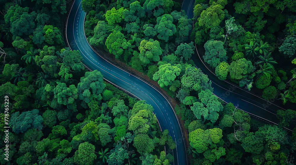 Top-down view of a flat road winding through a dense forest, showcasing a picturesque landscape
