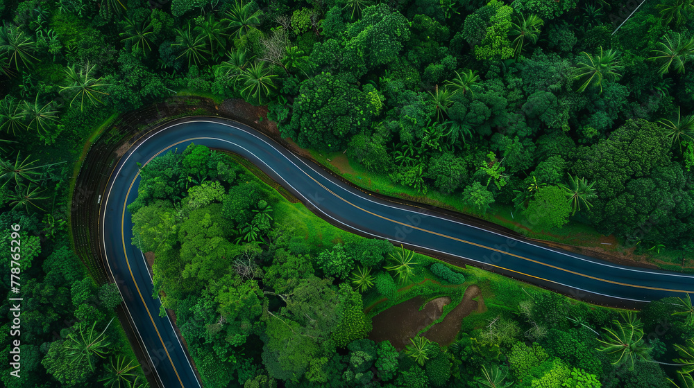 Top-down perspective of a flat road winding through a dense forest, offering a picturesque vista of the landscape