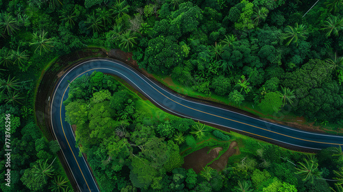 Top-down perspective of a flat road winding through a dense forest, offering a picturesque vista of the landscape
