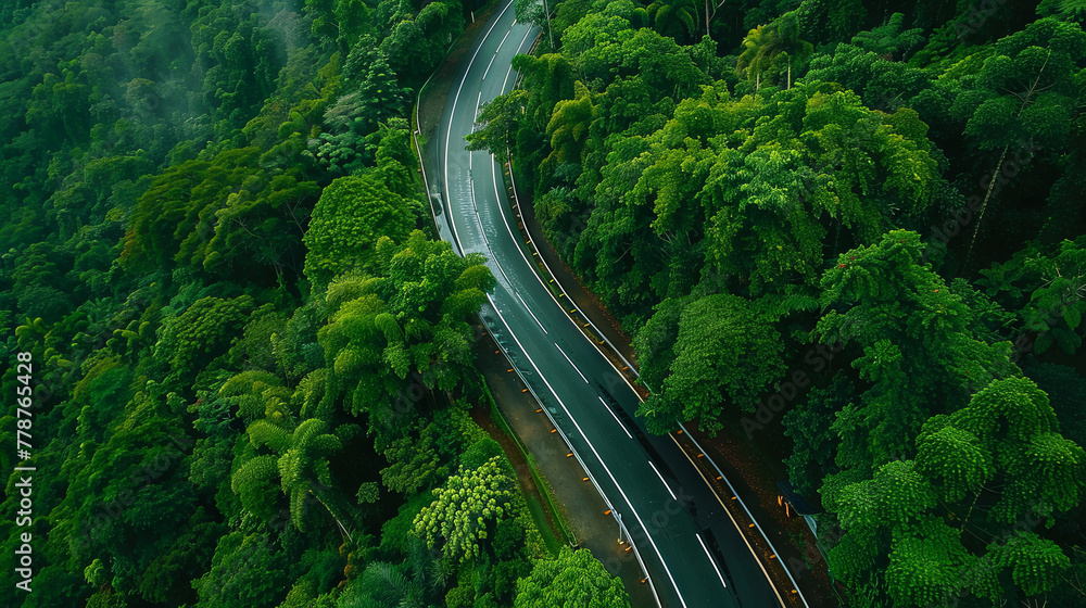 Top-down perspective of a flat road winding through a dense forest, offering a picturesque vista of the landscape Top-down perspective of a flat road winding through a dense forest, offering a picturesque vista of the landscape