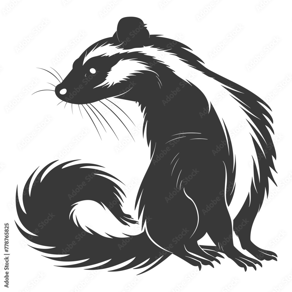 Silhouette skunk animal black color only Silhouette skunk animal black color only