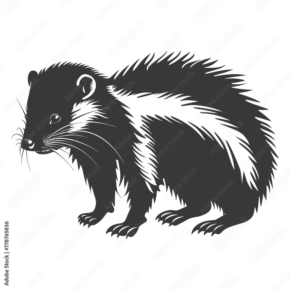 Obraz premium Silhouette skunk animal black color only