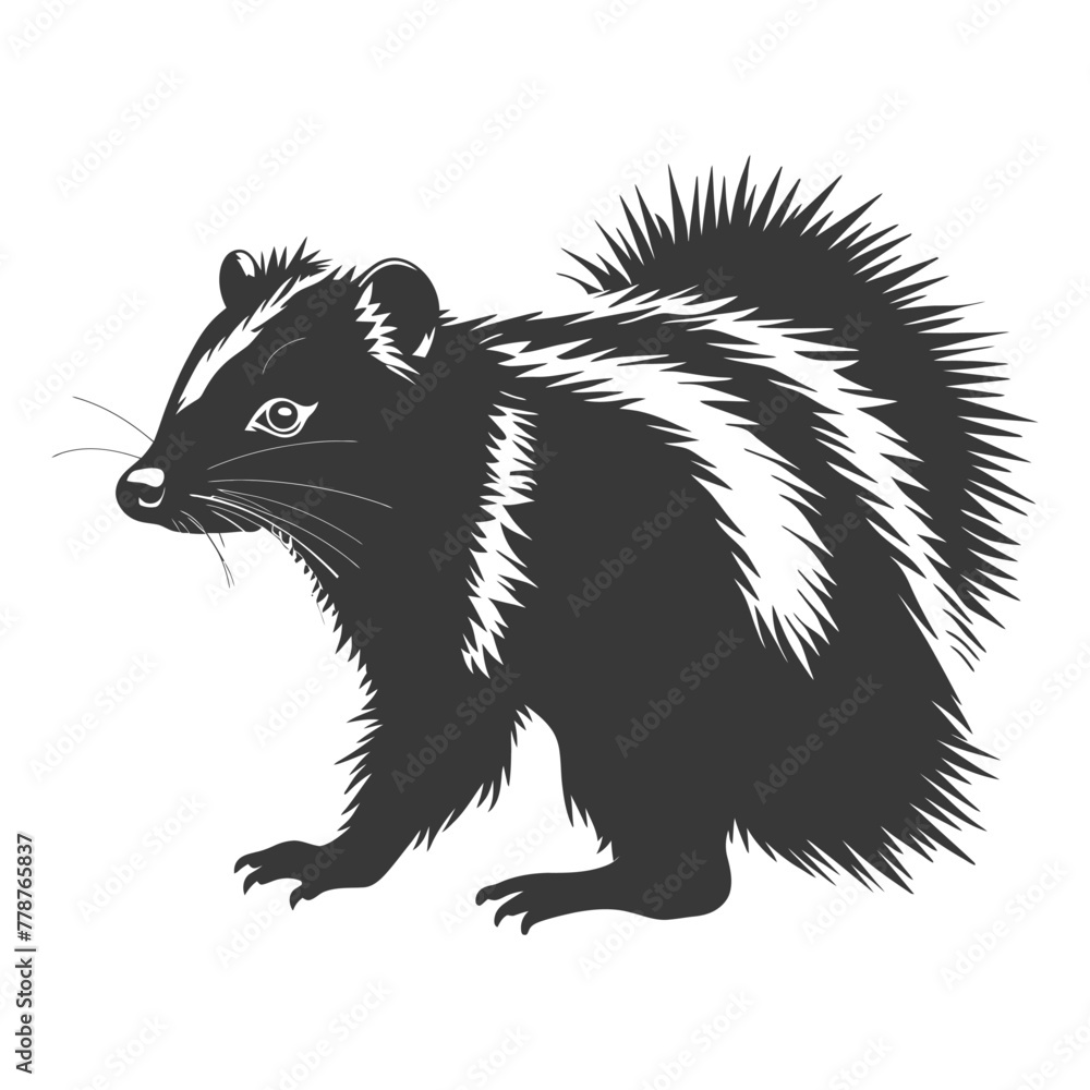 Silhouette skunk animal black color only Silhouette skunk animal black color only