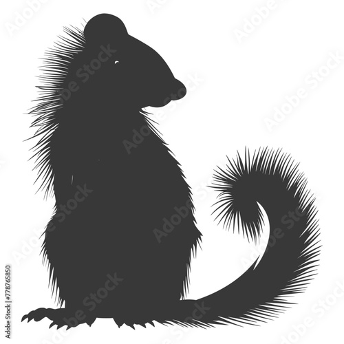 Silhouette skunk animal black color only